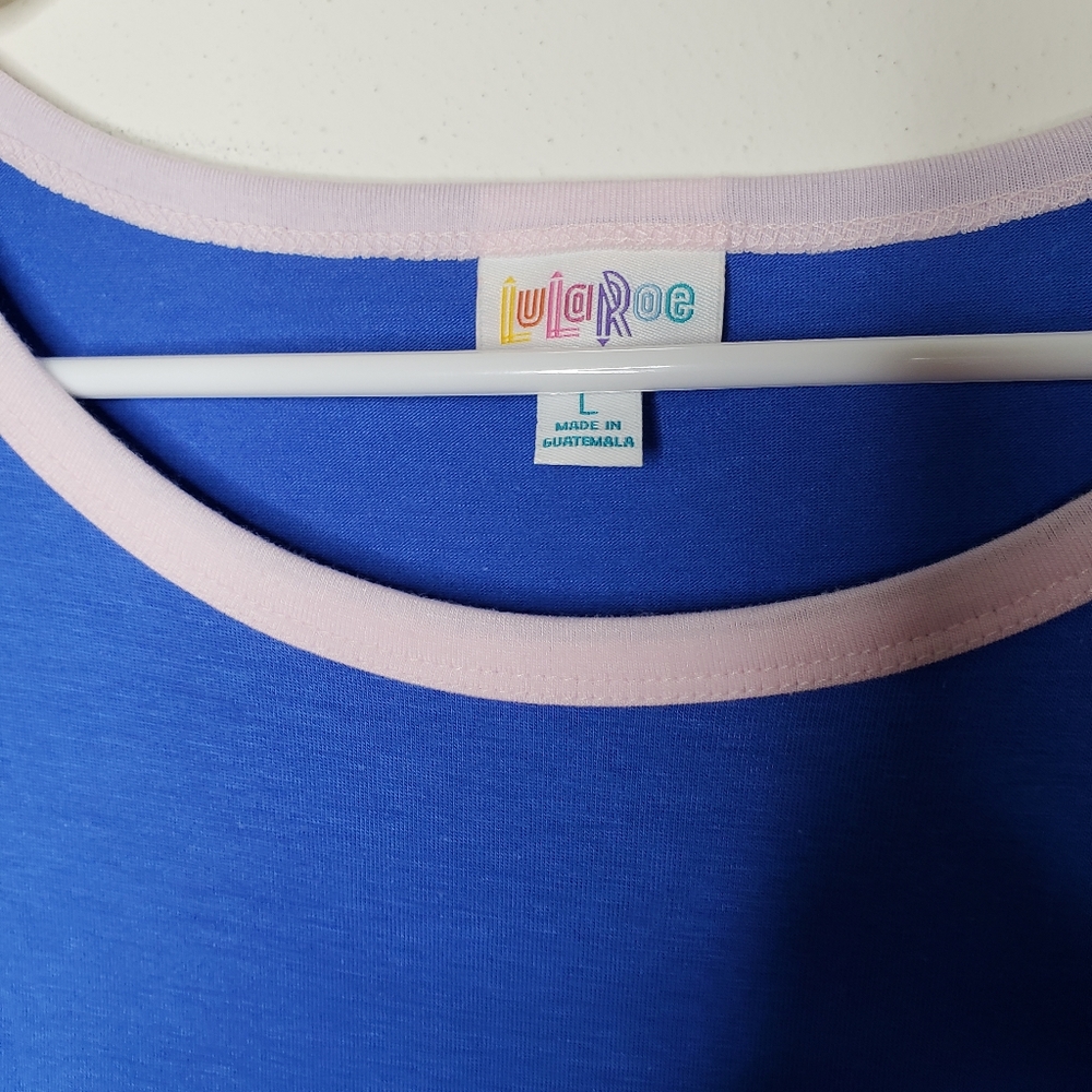 🔥Blue and Pink Striped Lularoe Julia - Picture 4 of 4